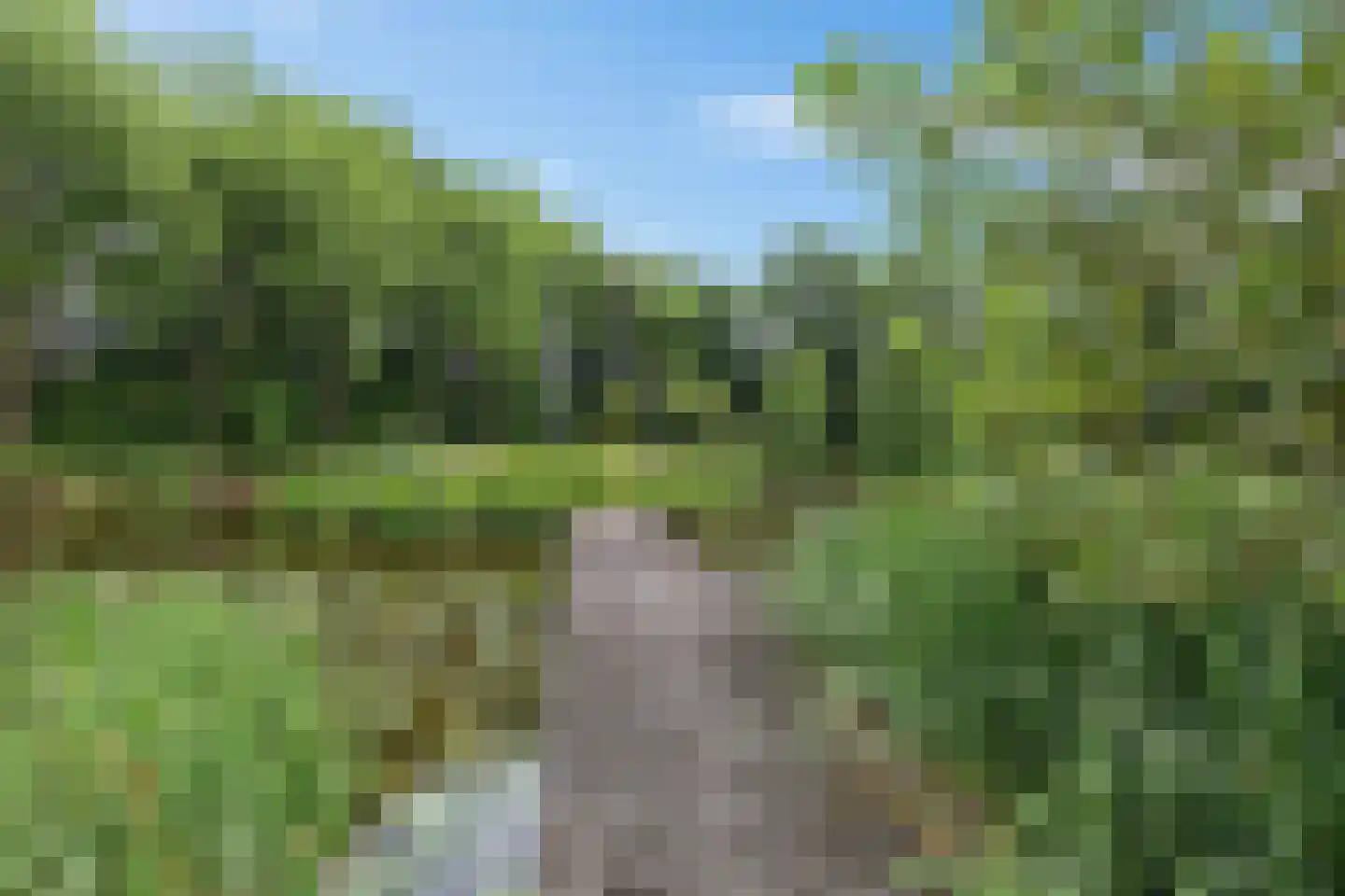 Betonwei 44 Harkema thumbnail 39