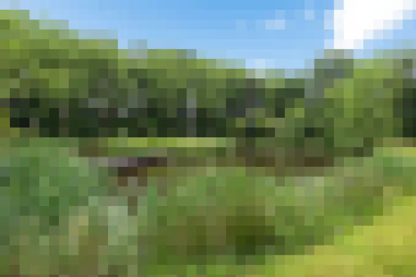 Betonwei 44 Harkema thumbnail 40