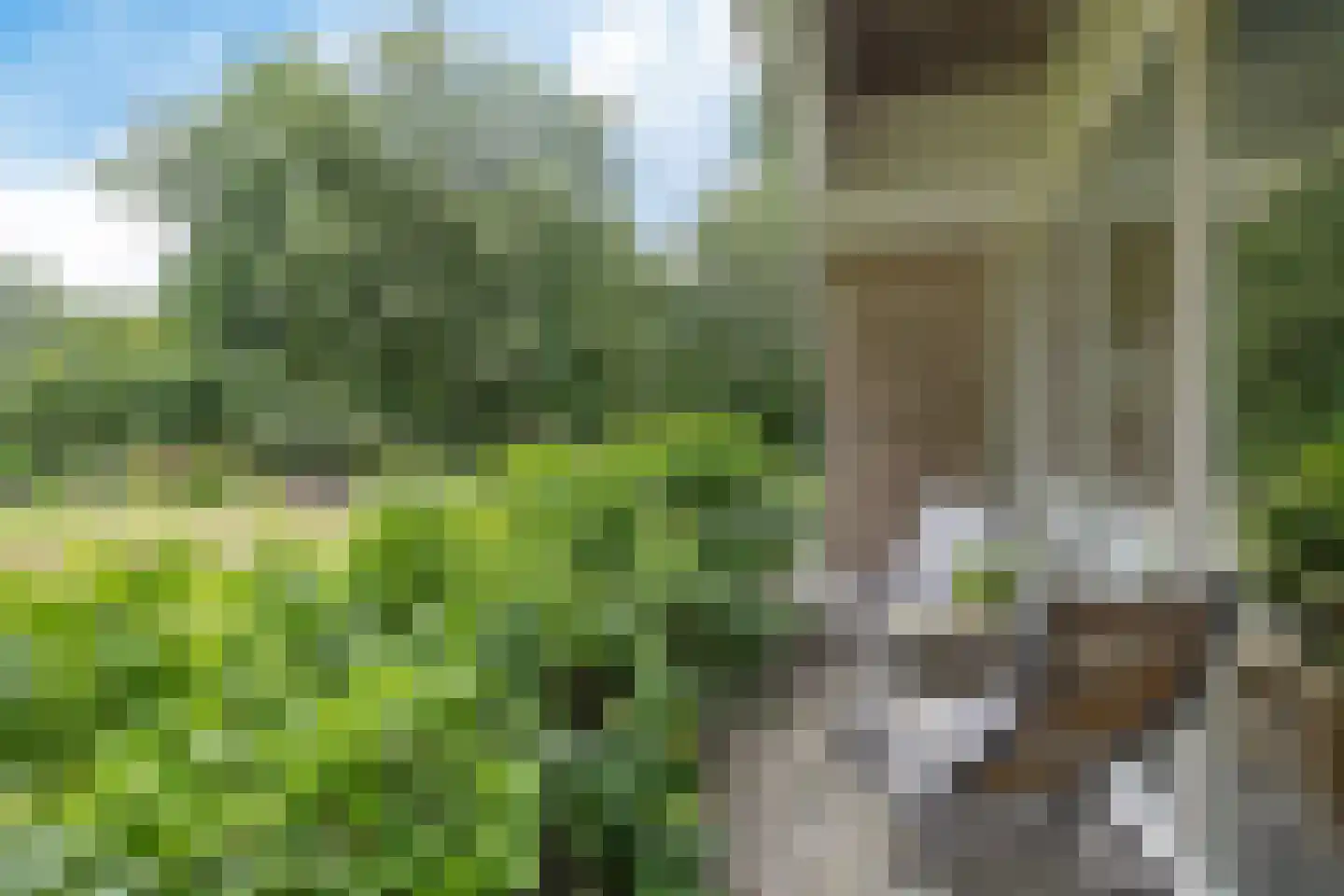 Betonwei 44 Harkema thumbnail 41