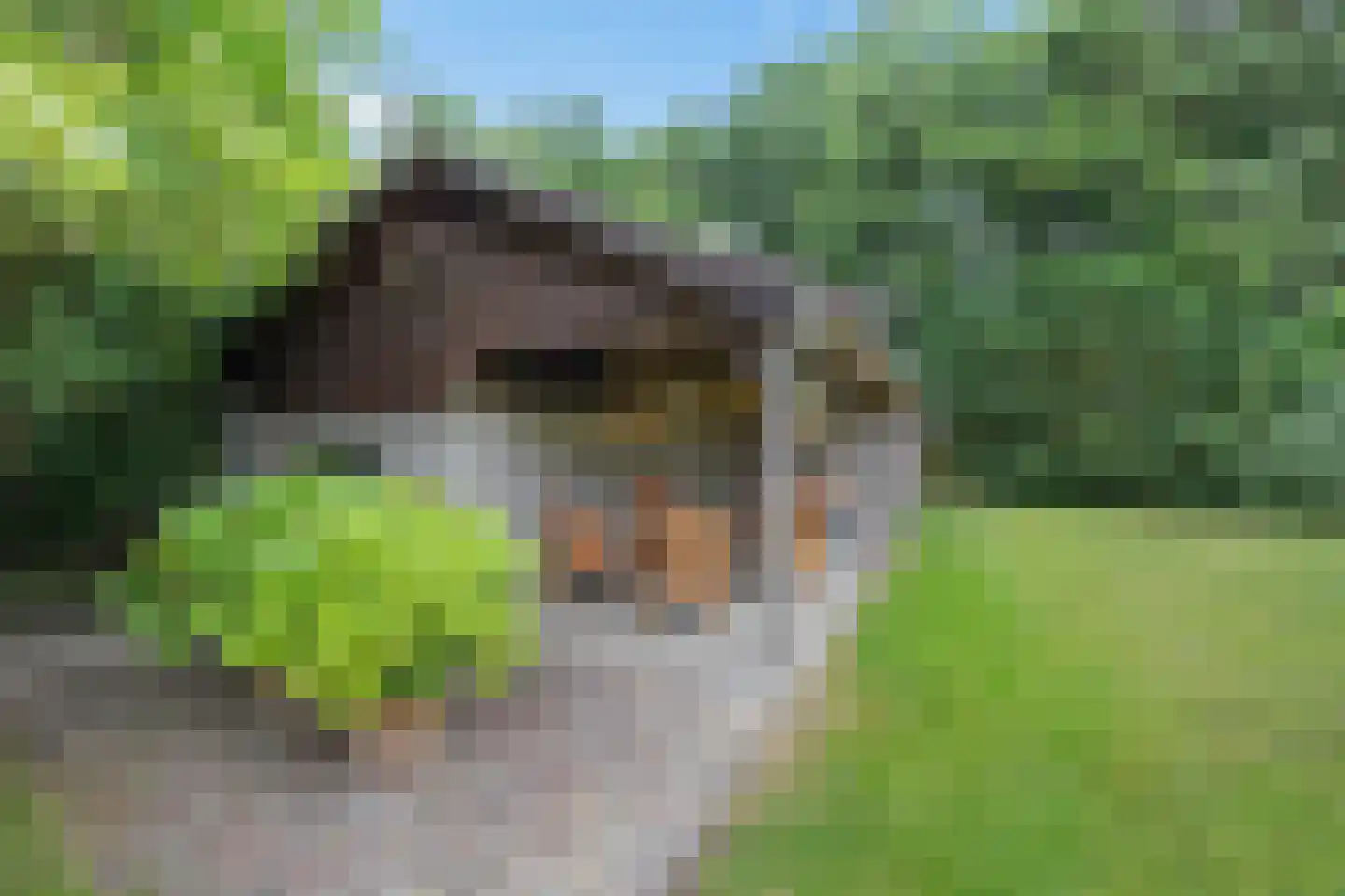 Betonwei 44 Harkema thumbnail 44