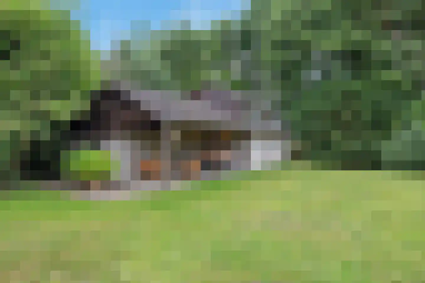 Betonwei 44 Harkema thumbnail 48