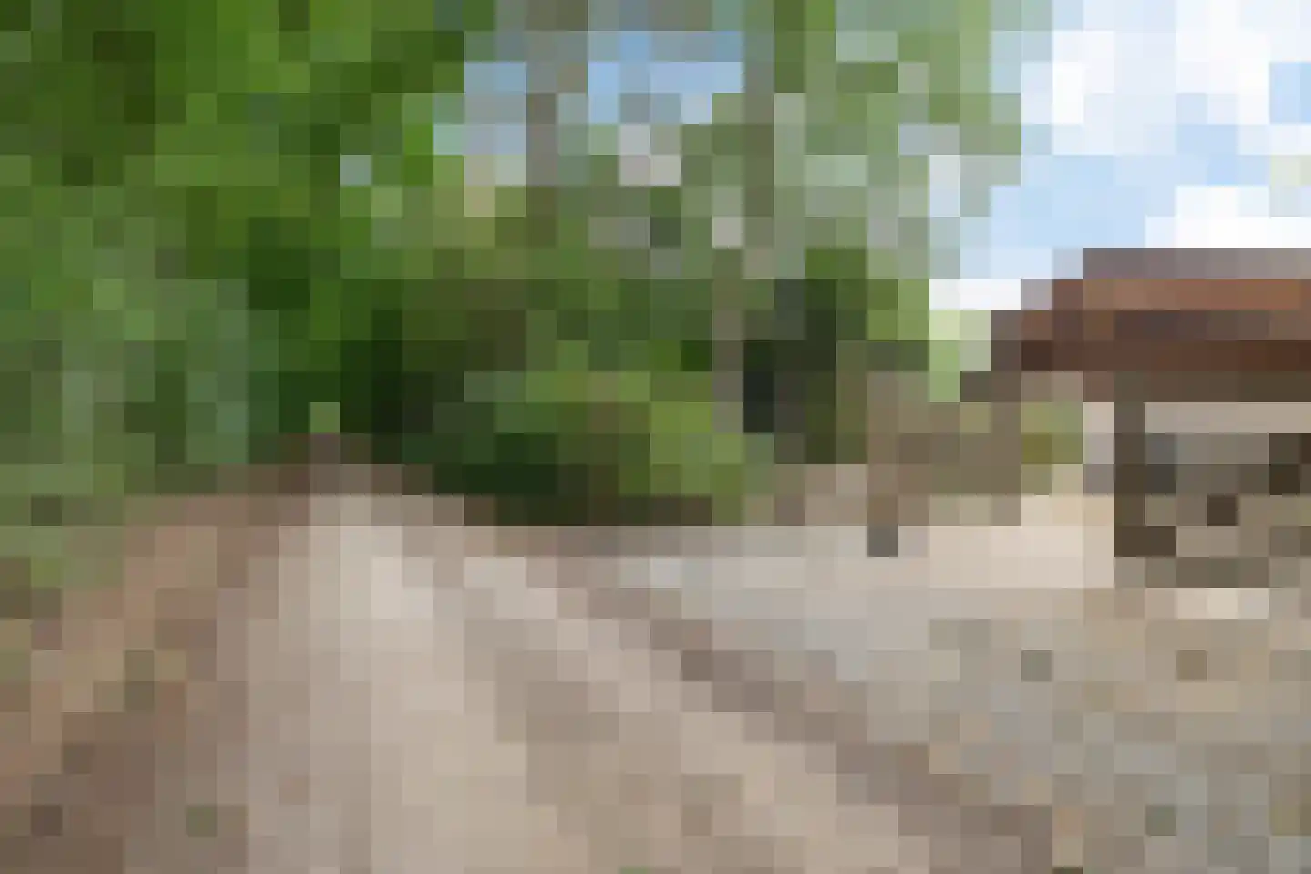 Betonwei 44 Harkema thumbnail 51
