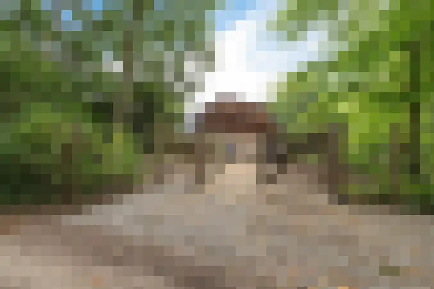 Betonwei 44 Harkema thumbnail 52