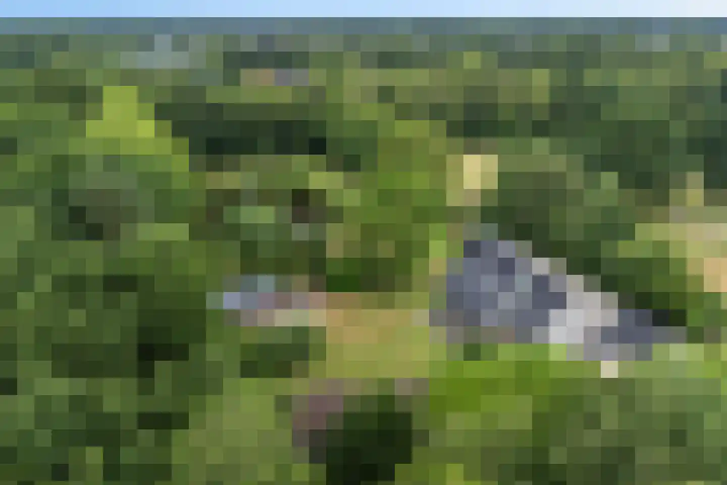 Betonwei 44 Harkema thumbnail 53