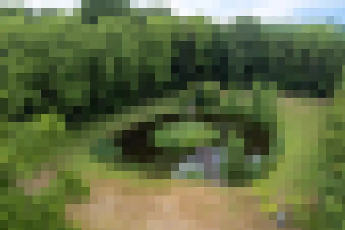 Betonwei 44 Harkema thumbnail 54
