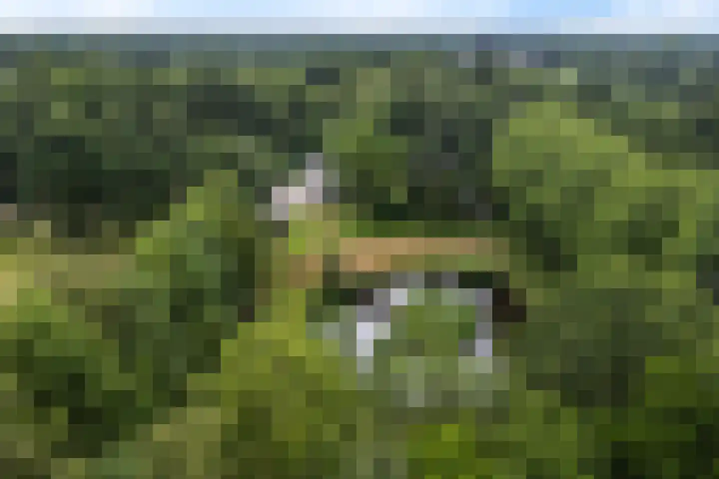 Betonwei 44 Harkema thumbnail 55