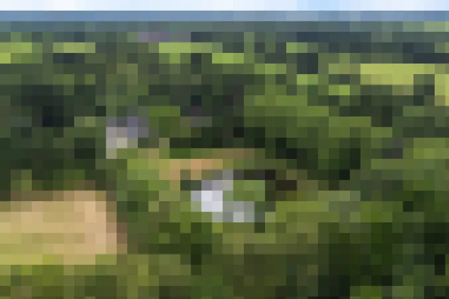 Betonwei 44 Harkema thumbnail 56