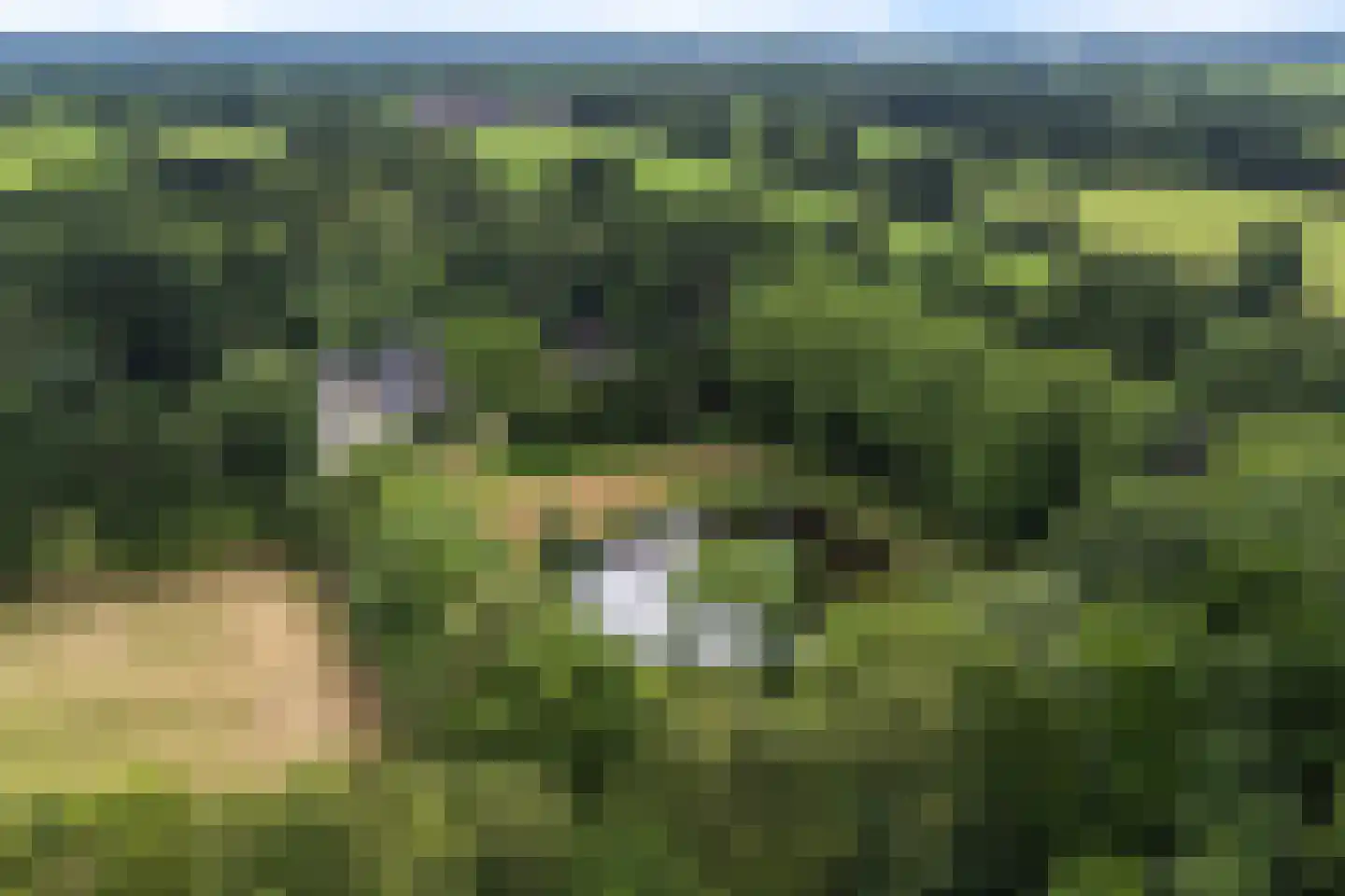 Betonwei 44 Harkema thumbnail 56