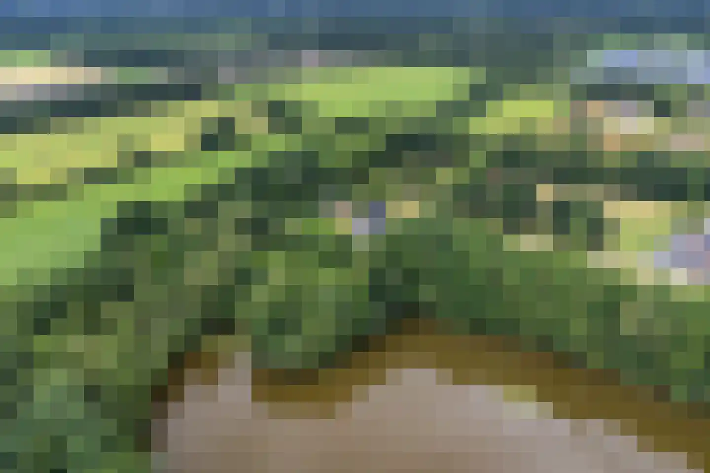 Betonwei 44 Harkema thumbnail 57