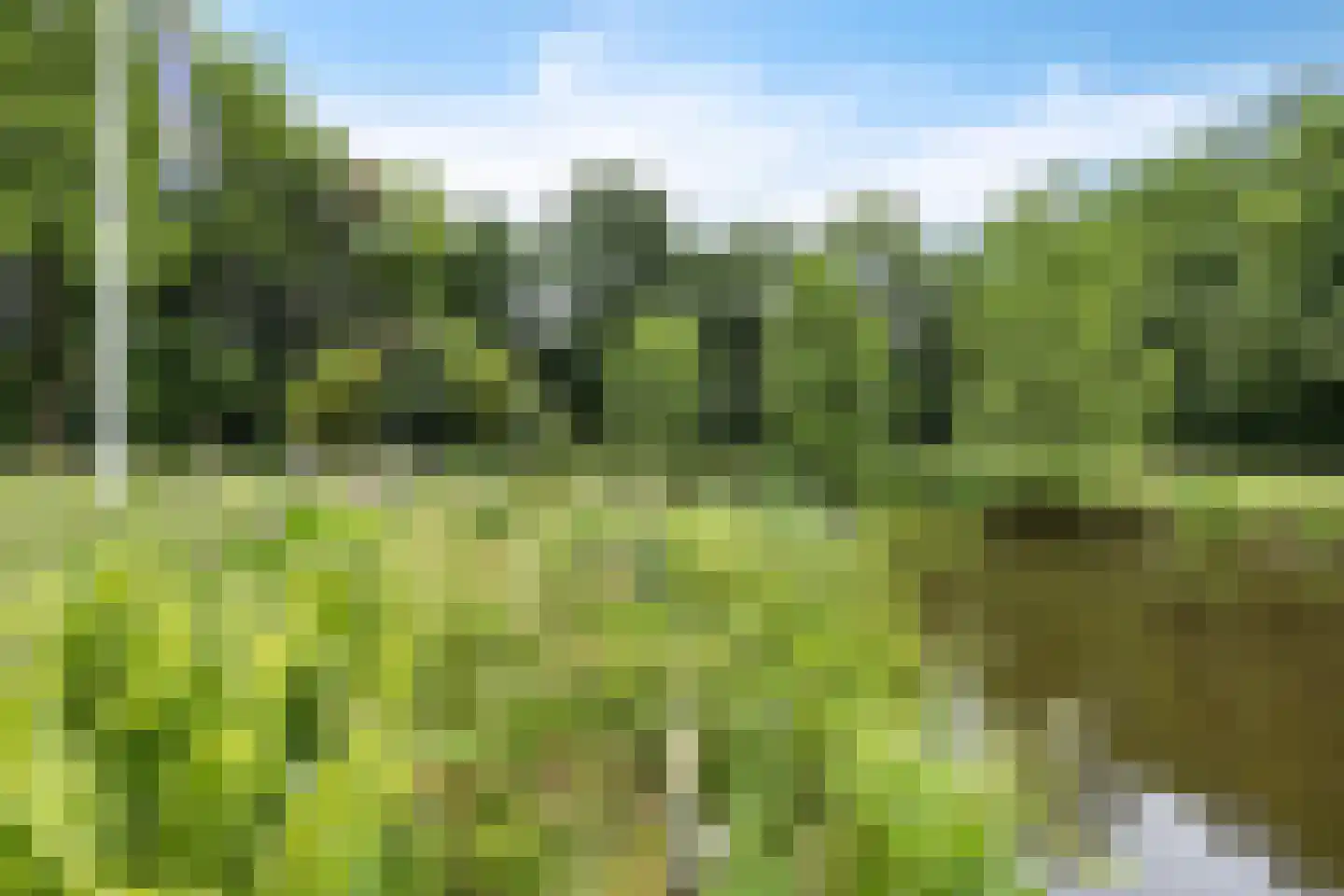 Betonwei 44 Harkema thumbnail 60