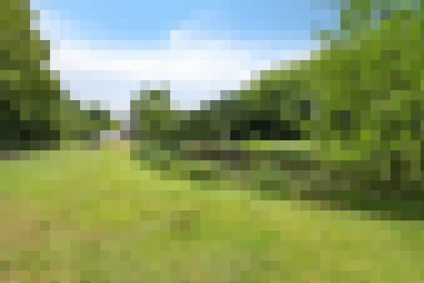 Betonwei 44 Harkema thumbnail 61