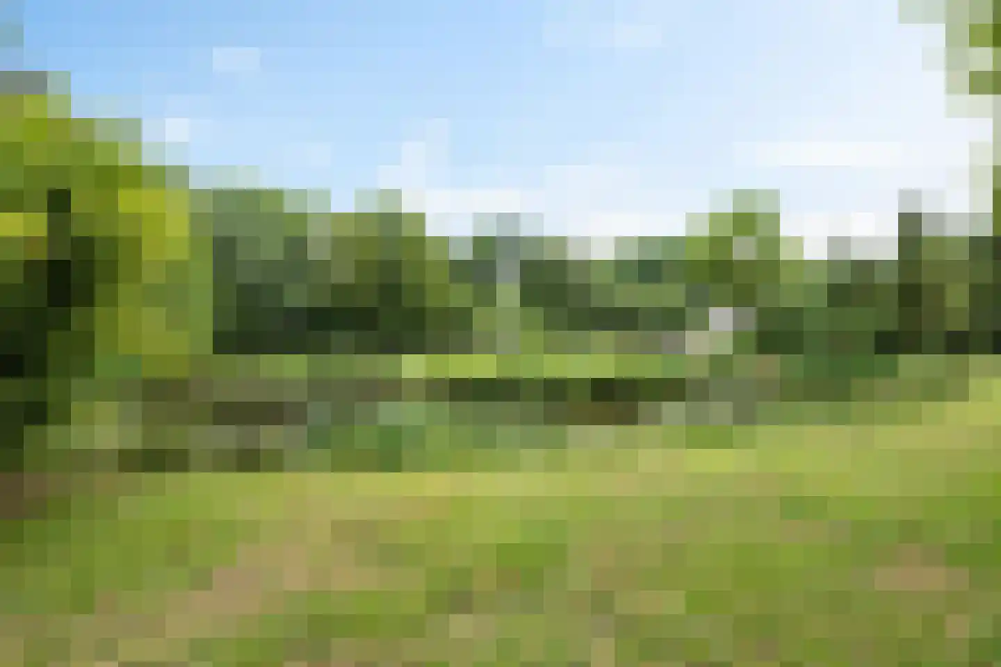 Betonwei 44 Harkema thumbnail 62
