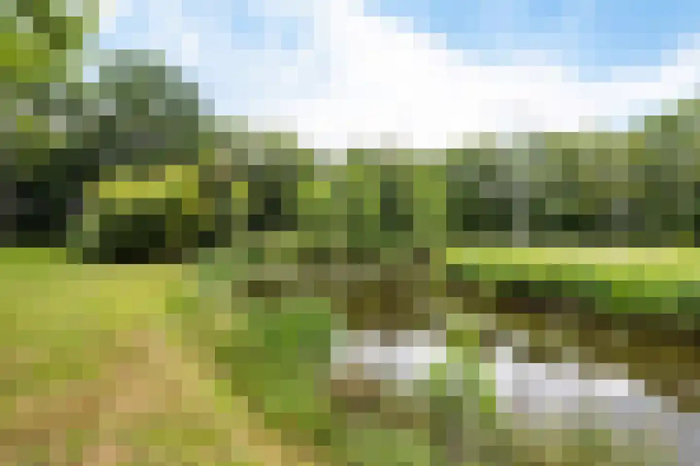 Betonwei 44 Harkema thumbnail 63