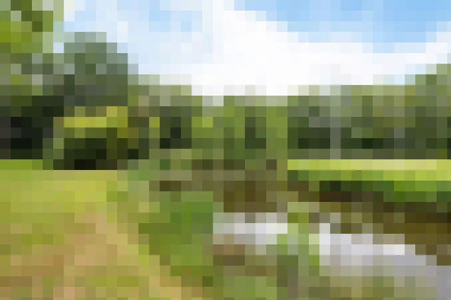 Betonwei 44 Harkema thumbnail 63