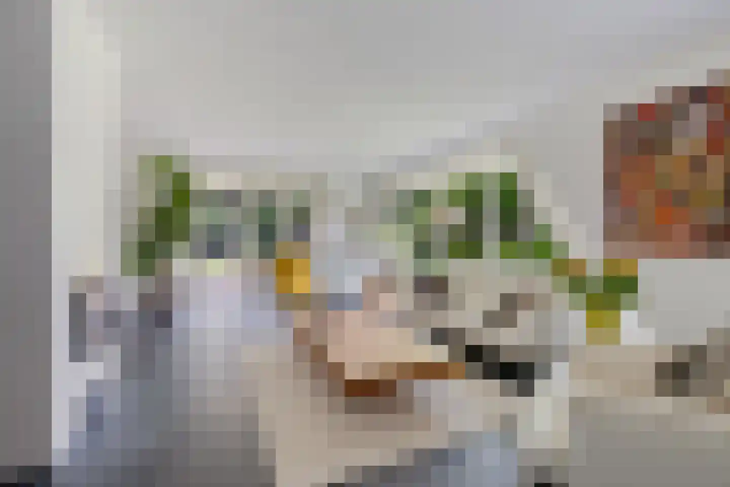 Betonwei 44 Harkema thumbnail 7