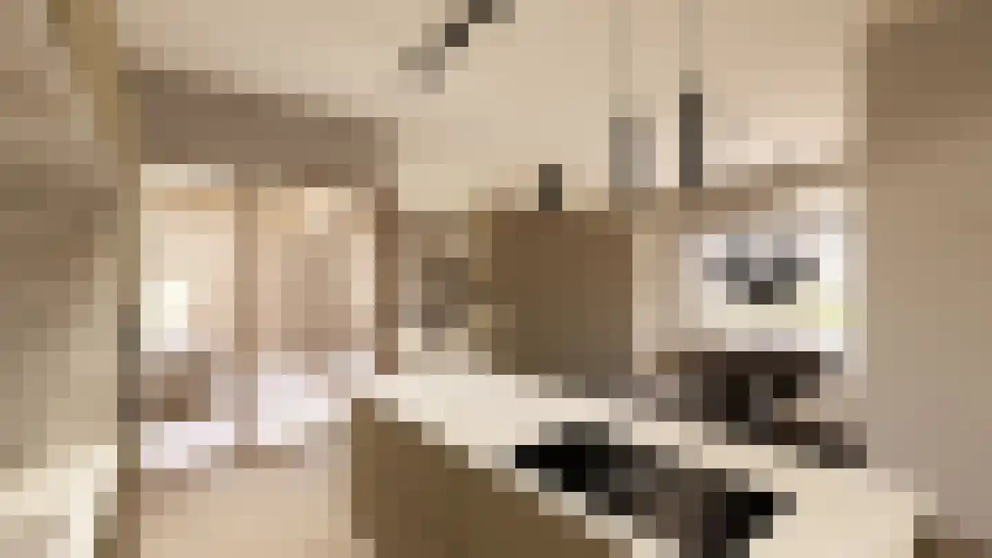 Betouwstraat 20 Tegelen thumbnail 13