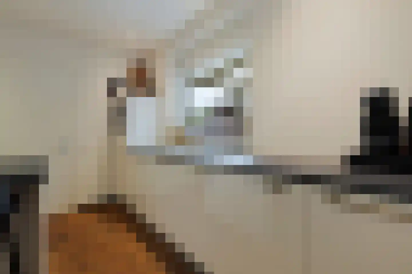 Betouwstraat 52 Tegelen thumbnail 18