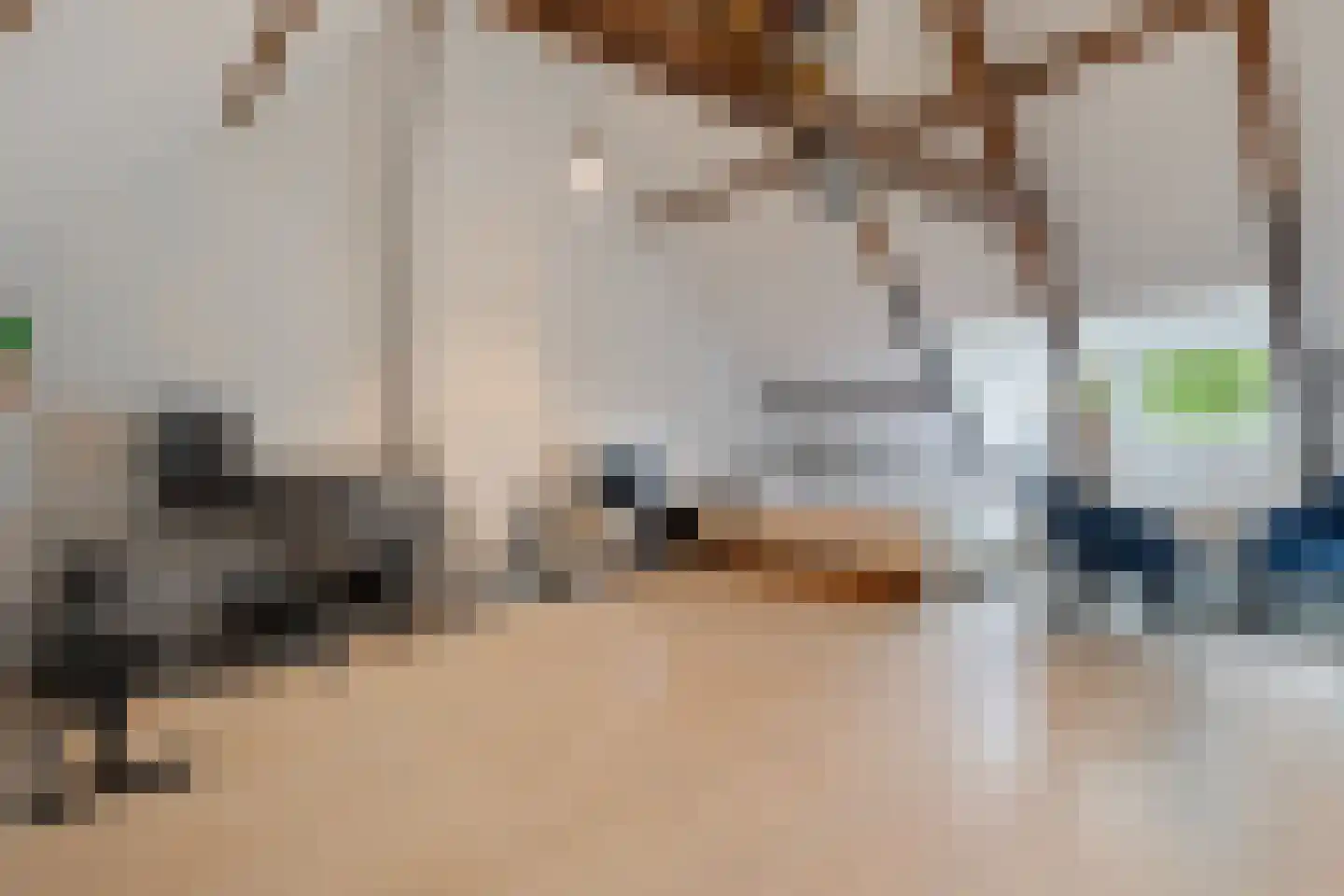 Betouwstraat 52 Tegelen thumbnail 36