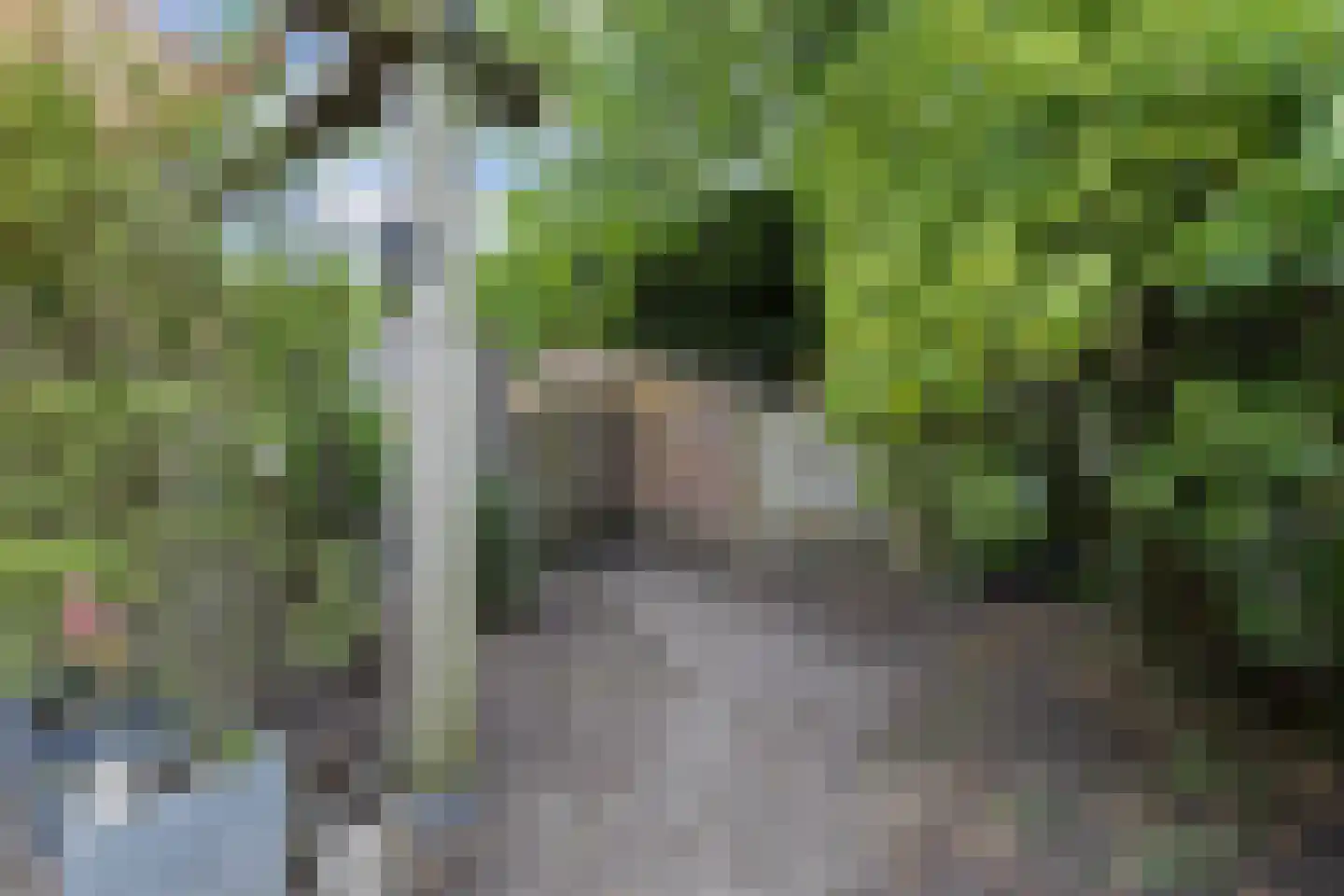 Betouwstraat 52 Tegelen thumbnail 43