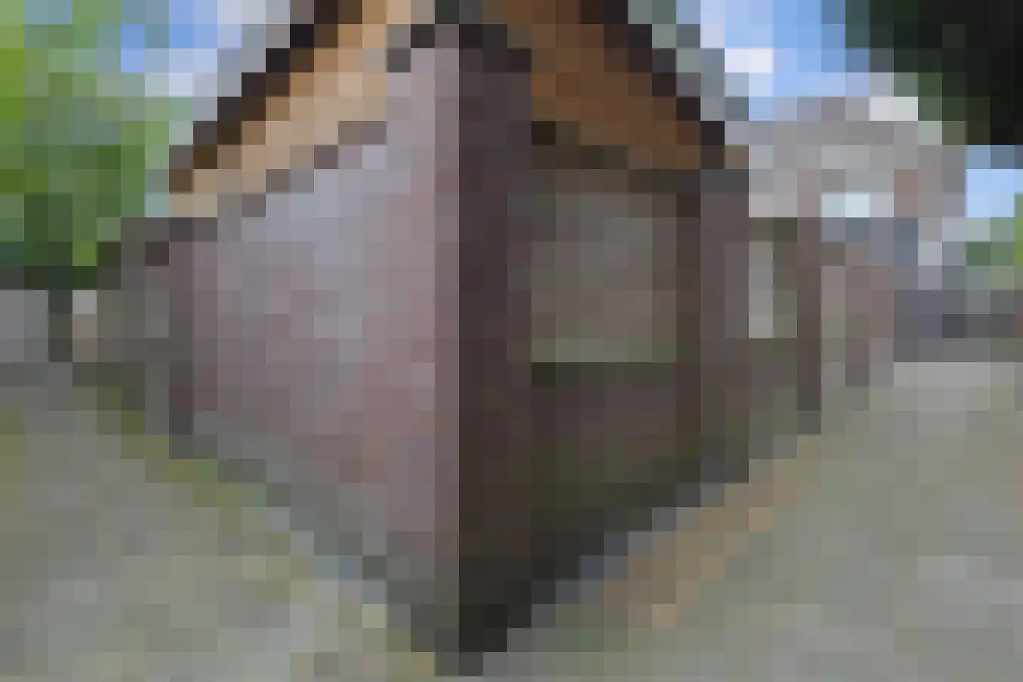 Betouwstraat 52 Tegelen thumbnail 44