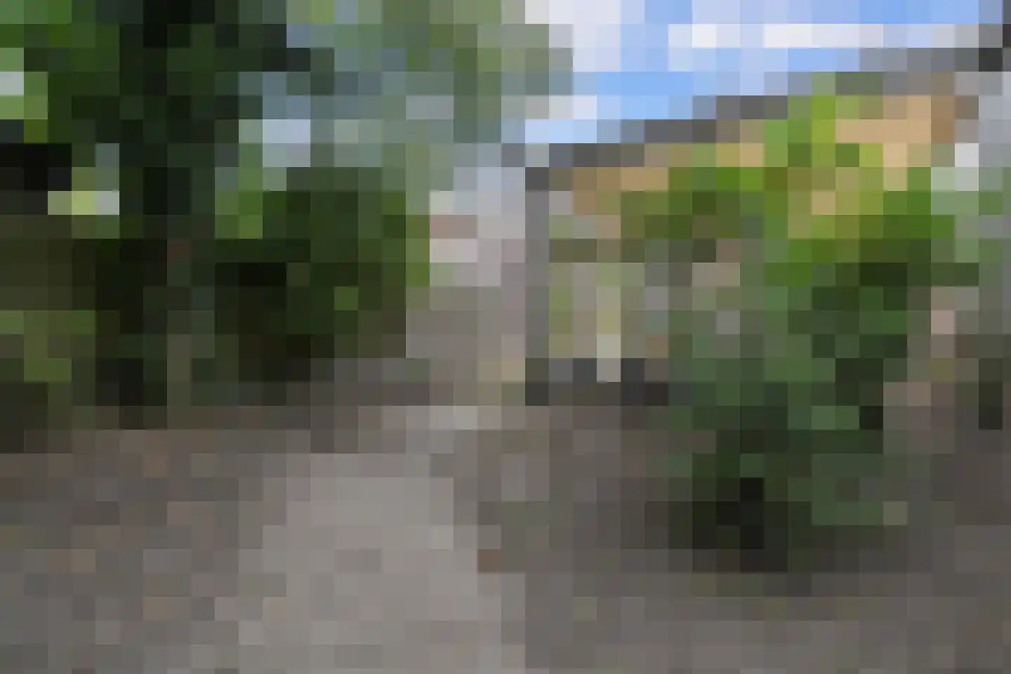 Betouwstraat 52 Tegelen thumbnail 45