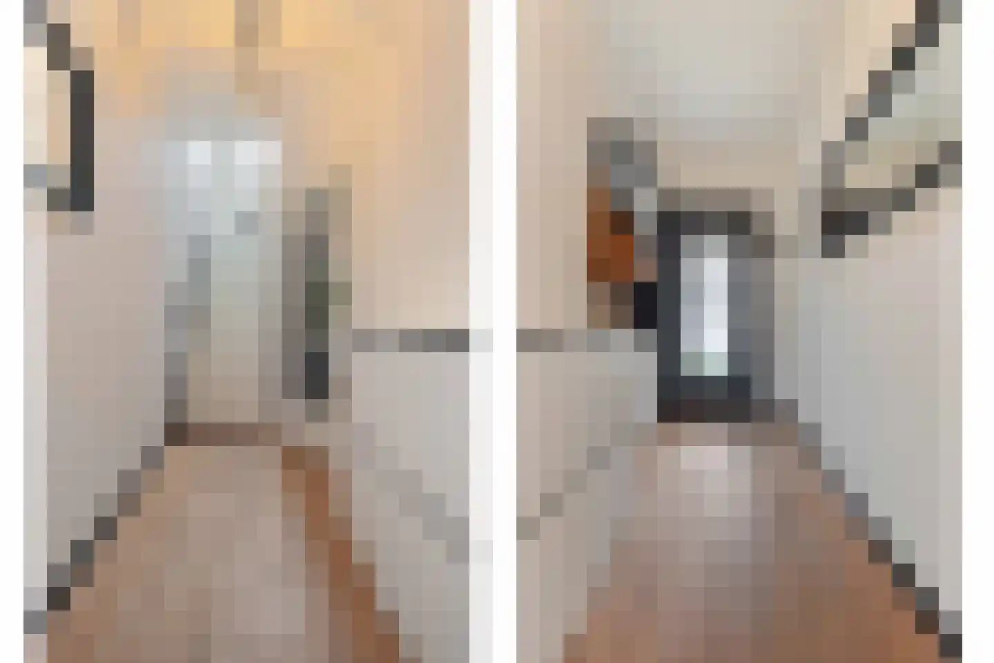 Betouwstraat 52 Tegelen thumbnail 5