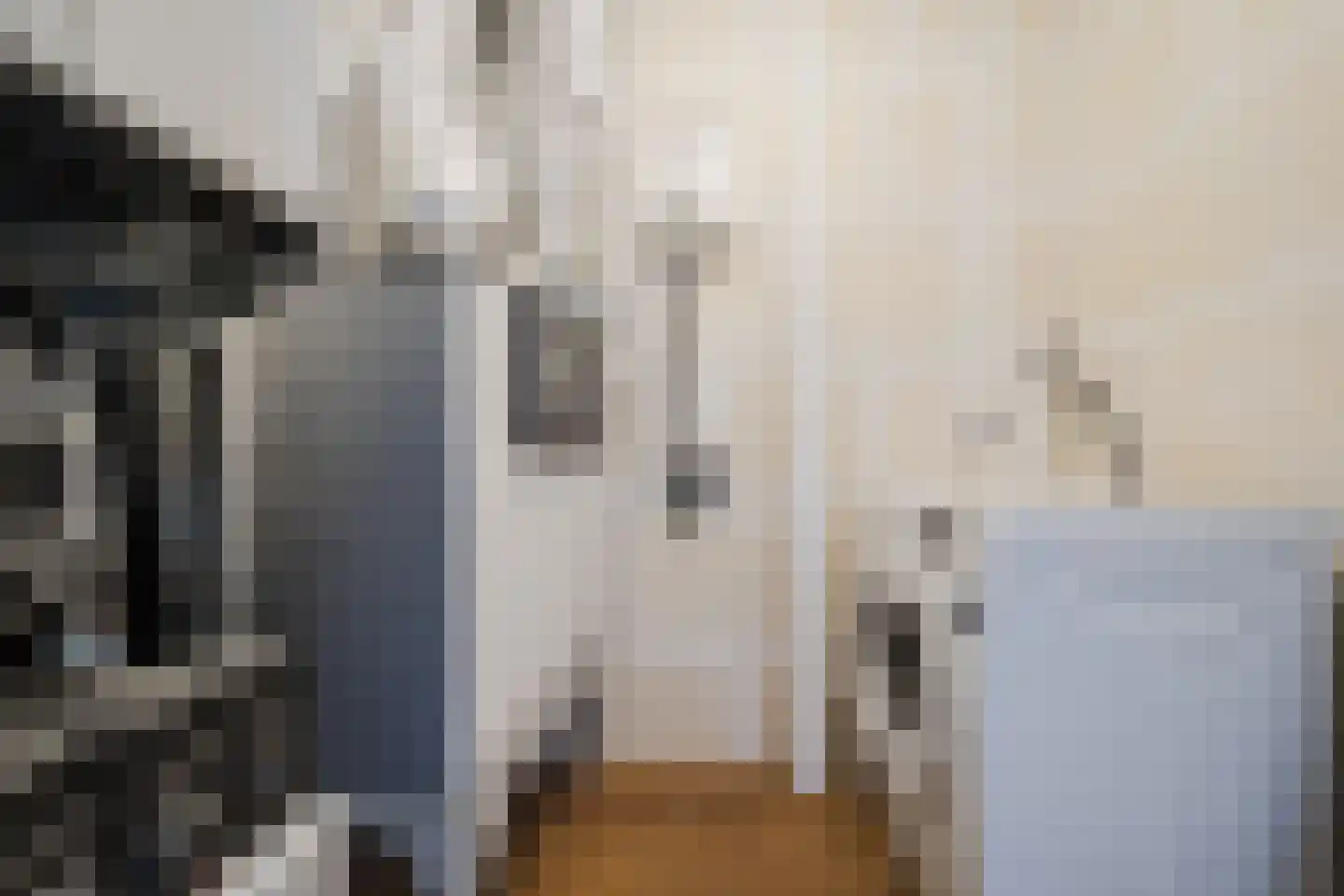 Betsy Kaiserhof 1 Hoorn thumbnail 19