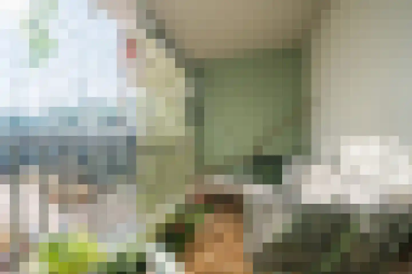 Betsy Kaiserhof 1 Hoorn thumbnail 7