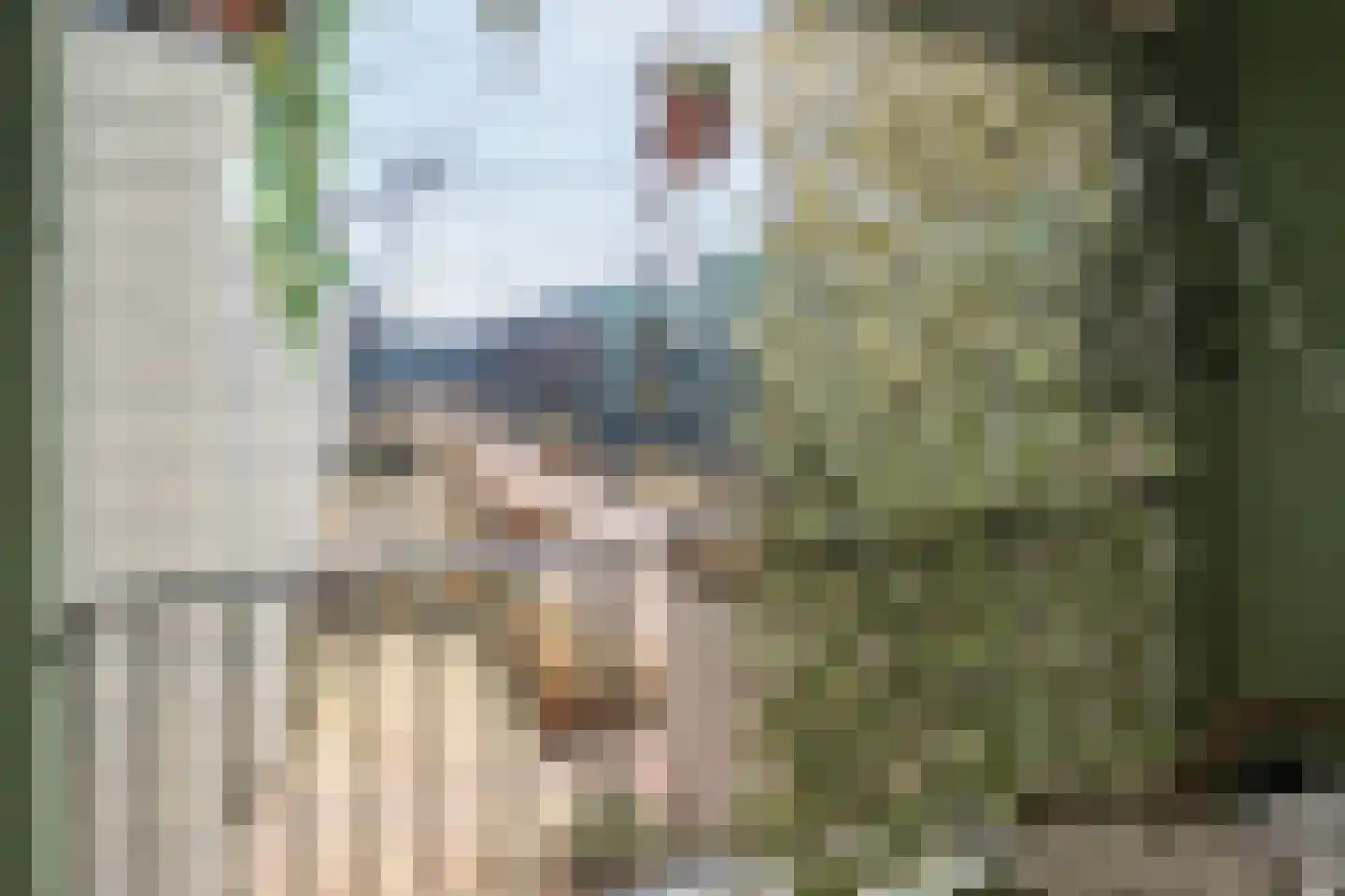 Betsy Kaiserhof 1 Hoorn thumbnail 8