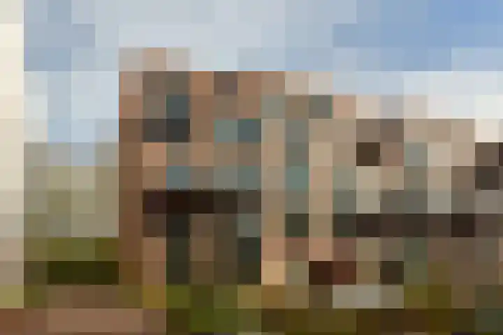 Betsy Kaiserhof 36 Hoorn thumbnail 24