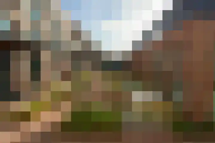 Betsy Kaiserhof 36 Hoorn thumbnail 25