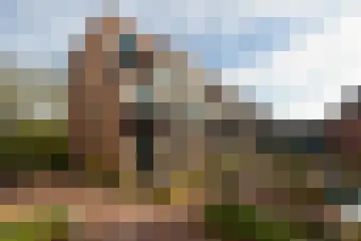Betsy Kaiserhof 36 Hoorn thumbnail 26