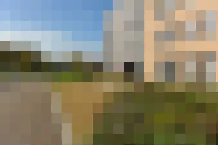 Betsy Kaiserhof 36 Hoorn thumbnail 28