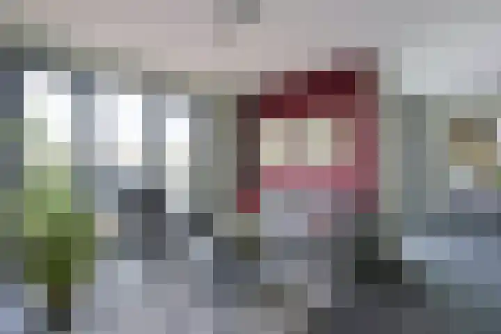 Betsy Kaiserhof 36 Hoorn thumbnail 6