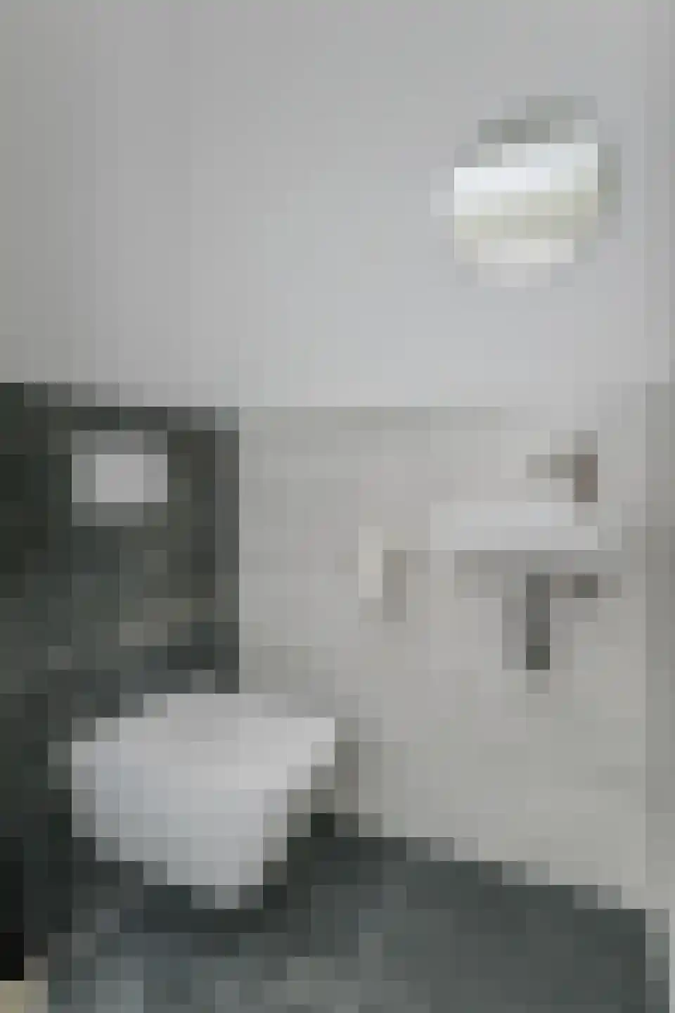 Betsy Kaiserhof 7 Hoorn thumbnail 22