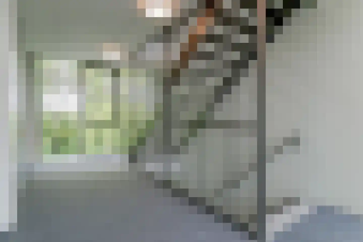 Betsy Kaiserhof 7 Hoorn thumbnail 33