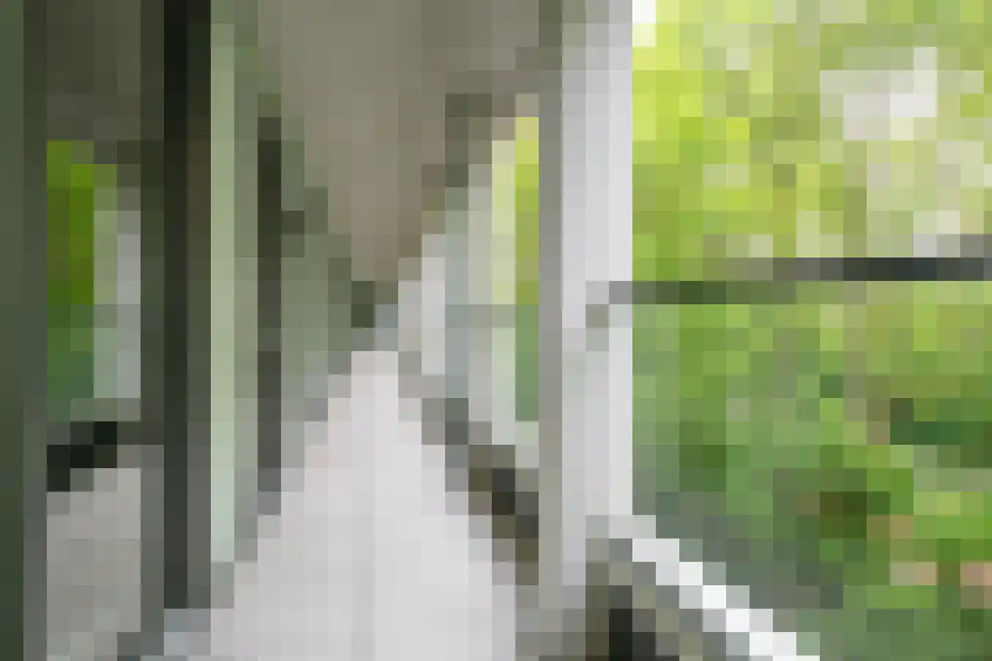 Betsy Kaiserhof 7 Hoorn thumbnail 34
