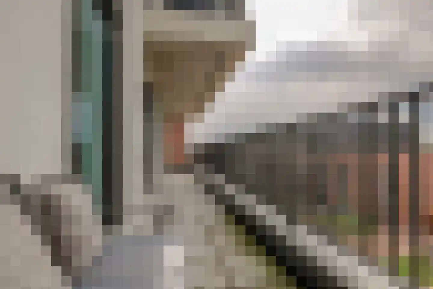 Betsy Kaiserhof 7 Hoorn thumbnail 8