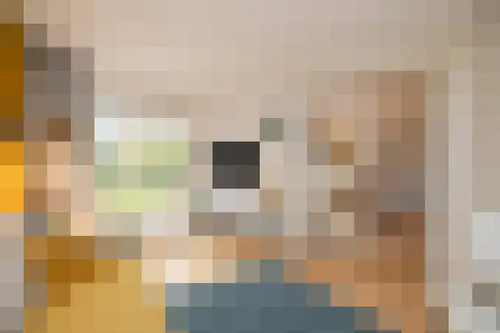 Betsy Perklaan 9 Olst thumbnail 13
