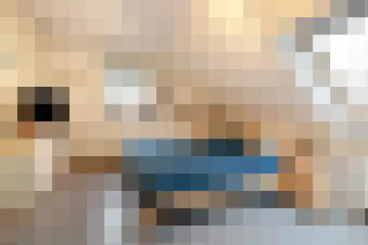 Betsy Perklaan 9 Olst thumbnail 15