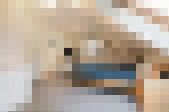 Betsy Perklaan 9 Olst thumbnail 17