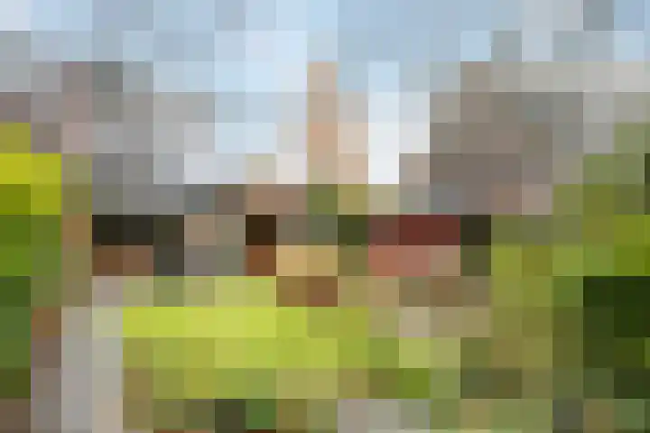 Betsy Perklaan 9 Olst thumbnail 27