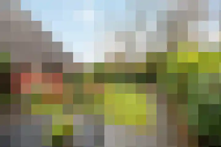 Betsy Perklaan 9 Olst thumbnail 30