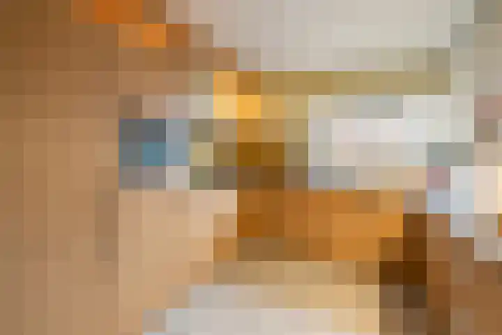 Betsy Perklaan 9 Olst thumbnail 8
