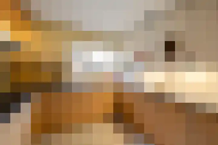 Betsy Perklaan 9 Olst thumbnail 9