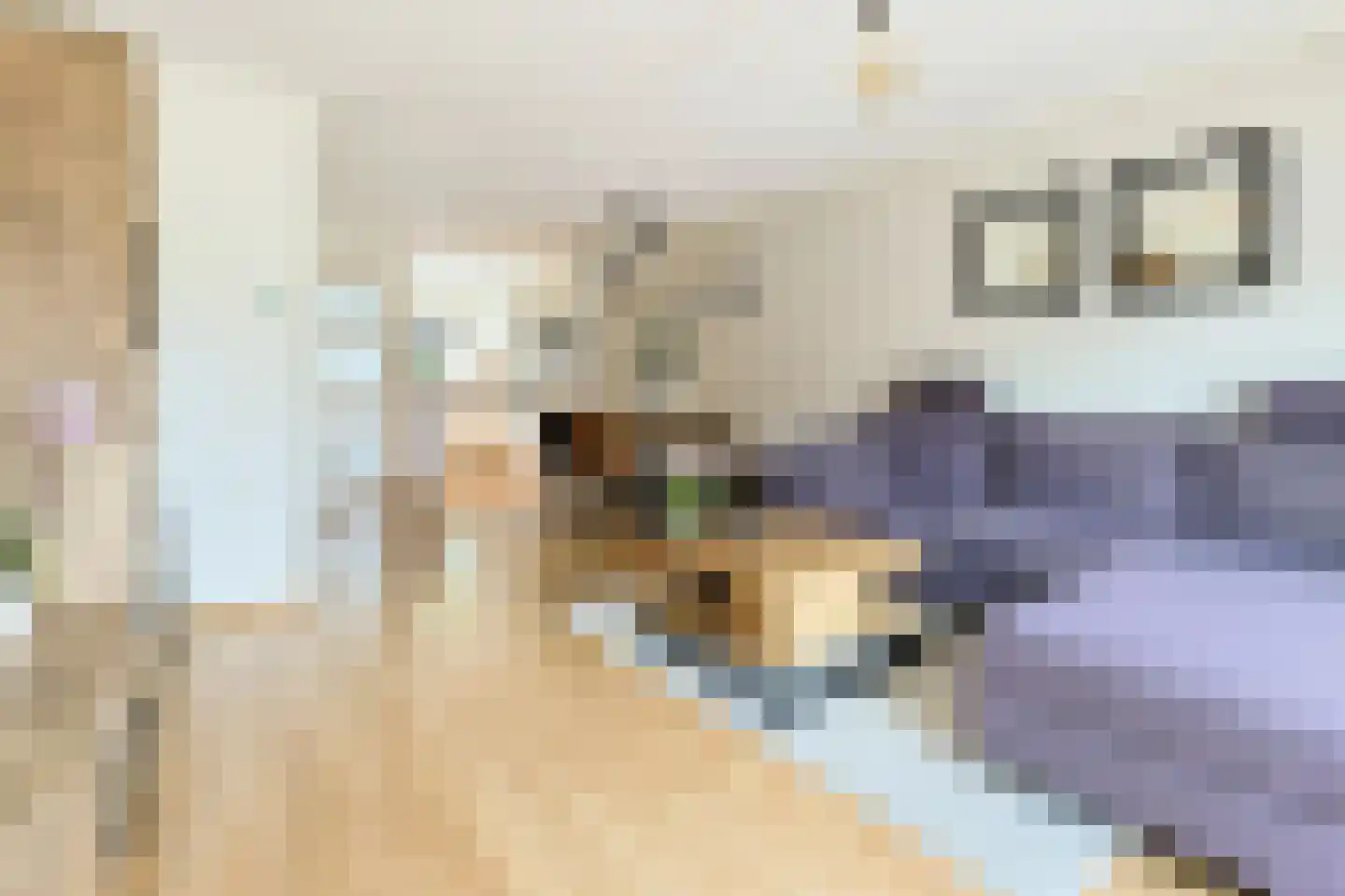 Betsy Perkstraat 11 Alphen aan den Rijn thumbnail 12