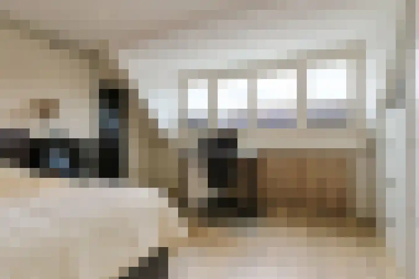 Betsy Perkstraat 11 Alphen aan den Rijn thumbnail 18