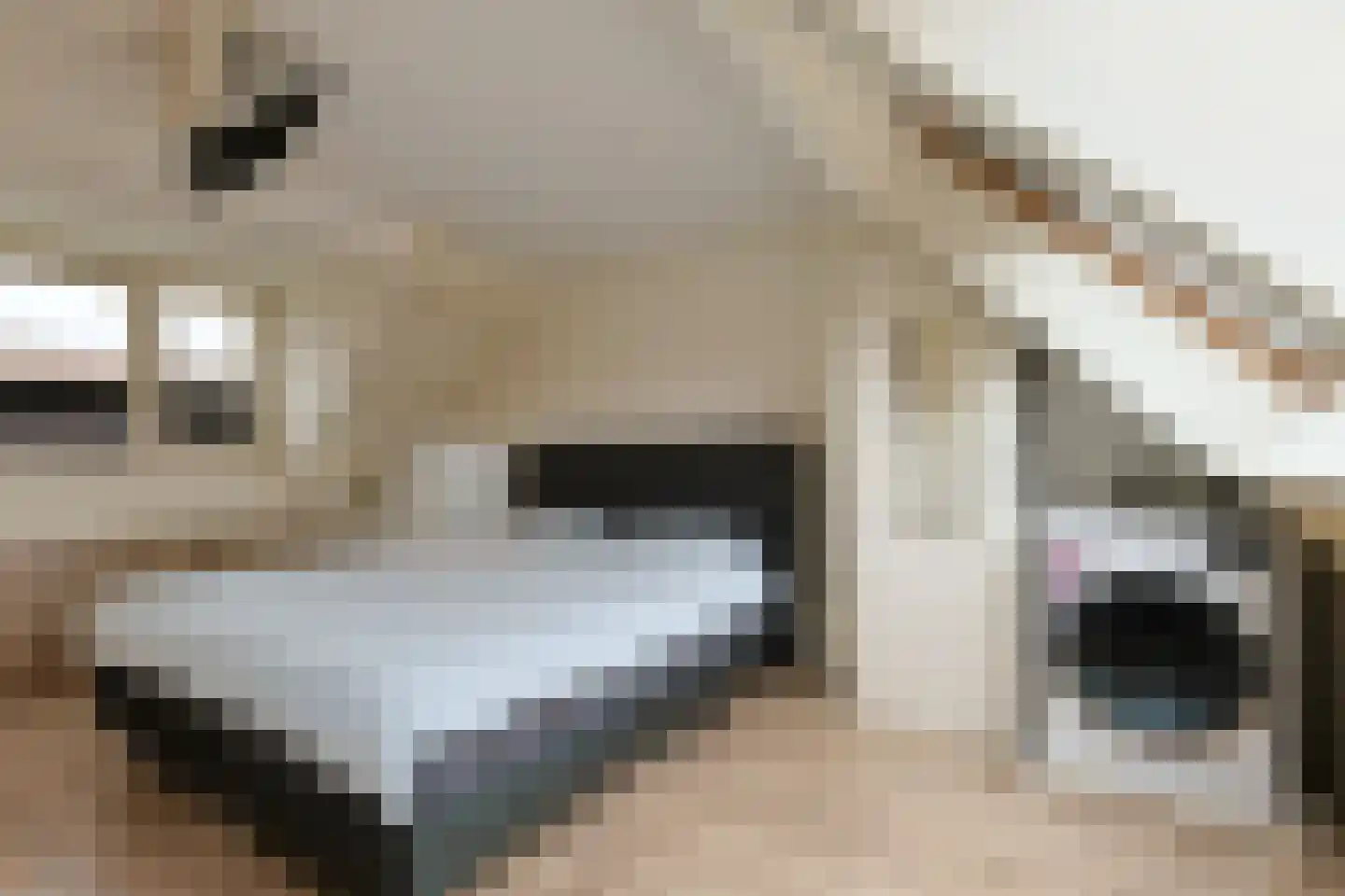 Betsy Perkstraat 11 Alphen aan den Rijn thumbnail 32