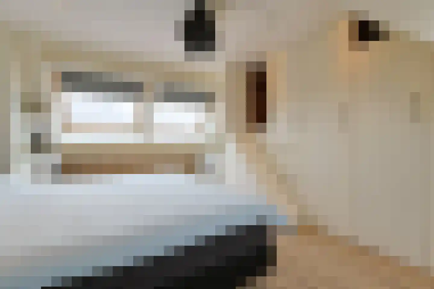 Betsy Perkstraat 11 Alphen aan den Rijn thumbnail 33