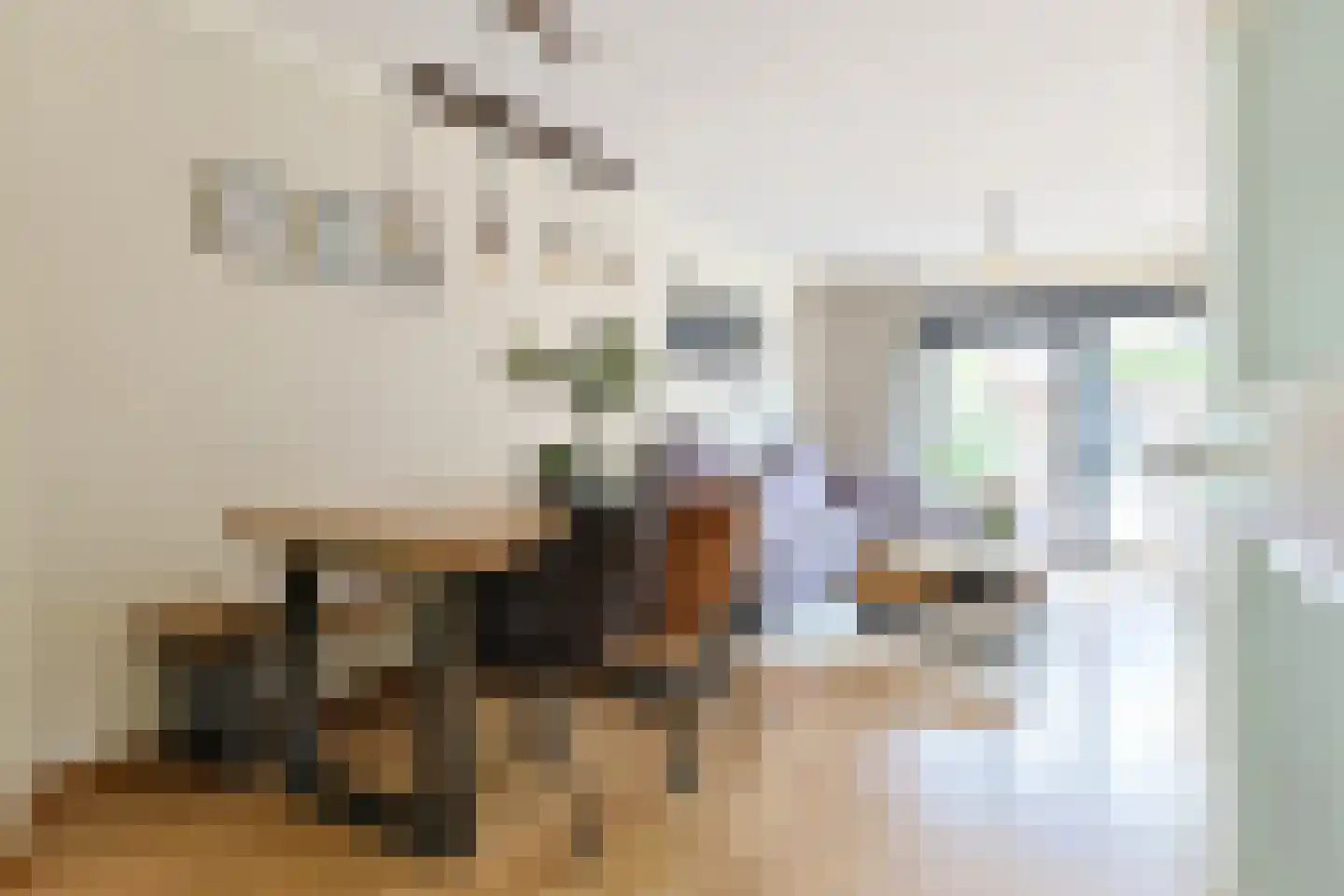 Betsy Perkstraat 11 Alphen aan den Rijn thumbnail 8